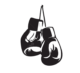 pngtree boxing gloves logo design icon vector png image 5286650